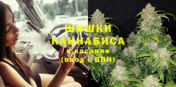 гидропоника Алзамай