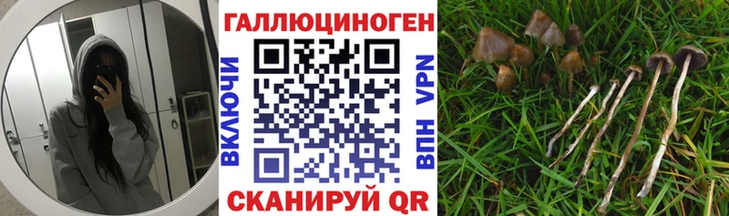 Псилоцибиновые грибы Cubensis  наркота  МЕГА ТОР  Камышин 
